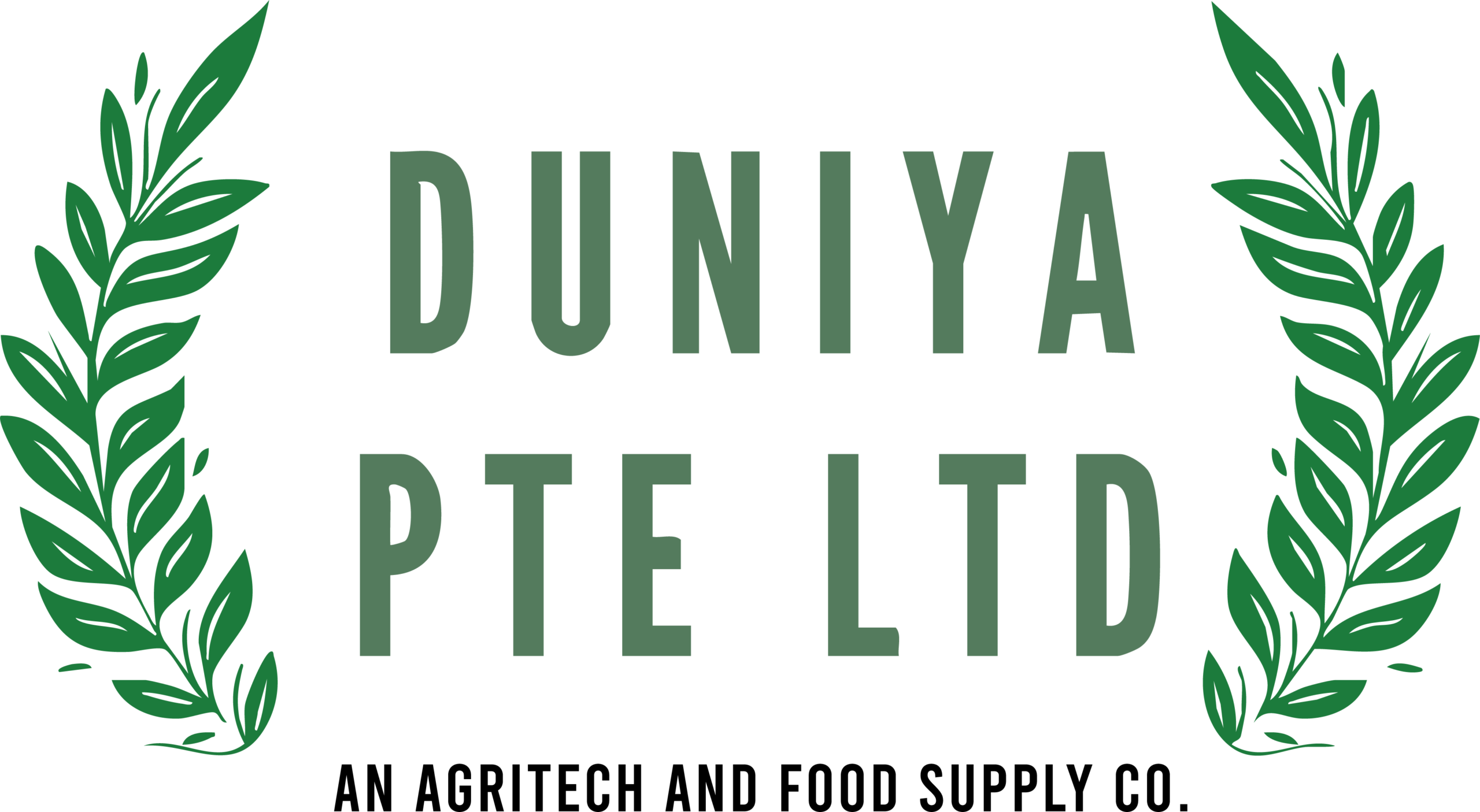 Duniya